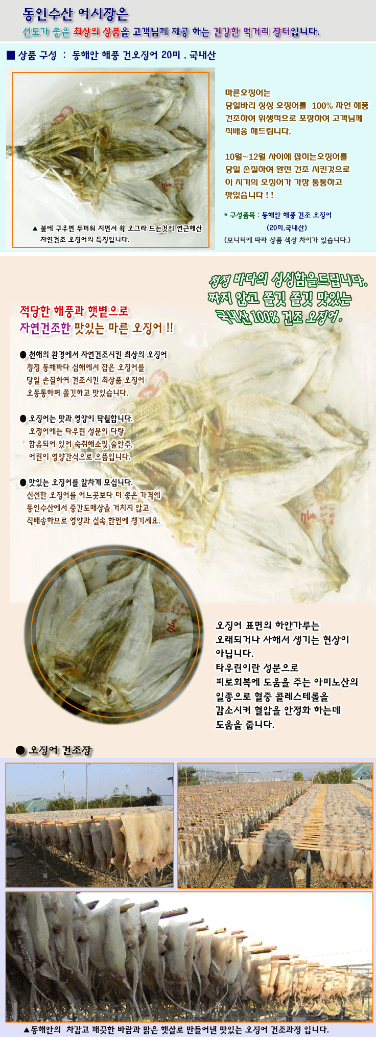 동해안 해풍 건오징어 20미 (대)_상품이미지.gif